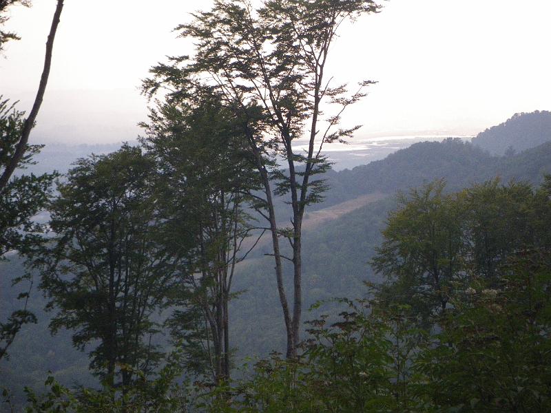 IMGP8111.JPG