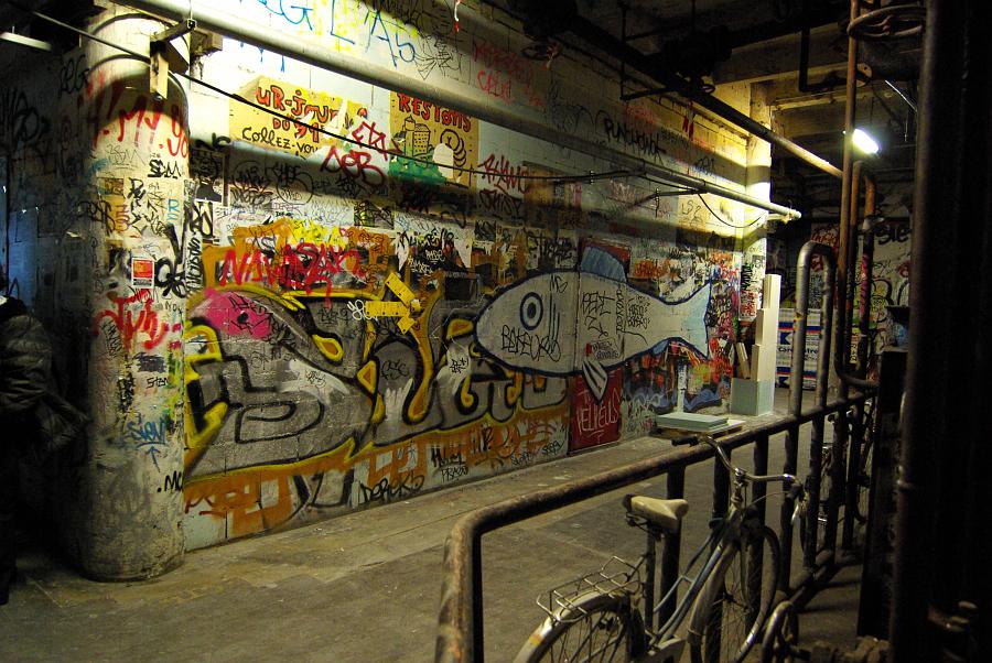 IMGP5127
